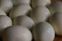 boiled-eggs